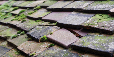 Shalford roof repair costs